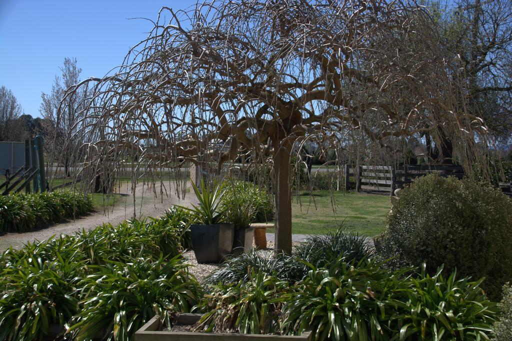 米拉瓦马斯喀特住宿加早餐旅馆 Milawa 外观 照片